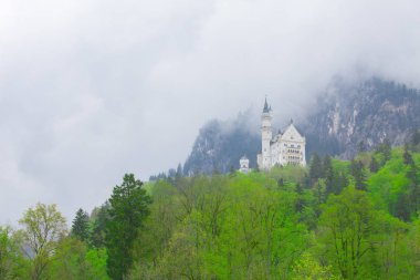 Neuschwanstein Kalesi ve Manzara / Almanya..