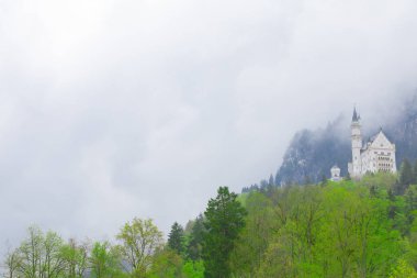 Neuschwanstein Kalesi ve Manzara / Almanya..