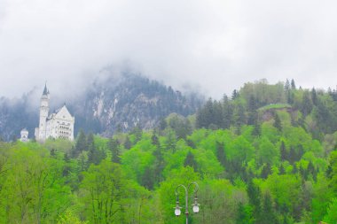 Neuschwanstein Kalesi ve Manzara / Almanya..