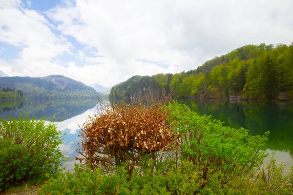 Lago Alpsee Hohenschwangau Perto Munique Baviera Alemanha — Fotografia de Stock