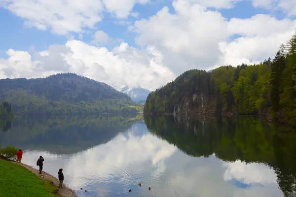 Lago Alpsee Hohenschwangau Cerca Munich Baviera Alemania —  Fotos de Stock