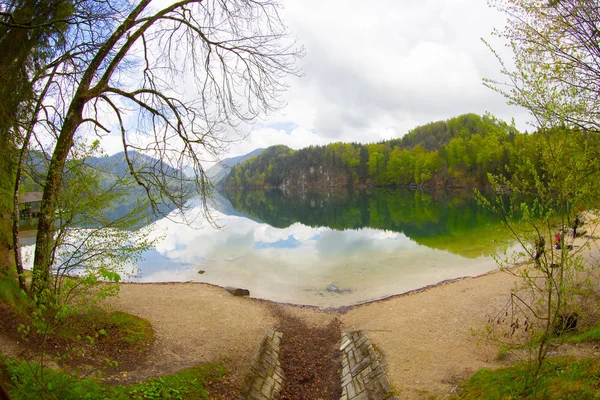 Lago Alpsee Hohenschwangau Cerca Munich Baviera Alemania —  Fotos de Stock