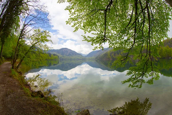 Lago Alpsee Hohenschwangau Cerca Munich Baviera Alemania — Foto de Stock