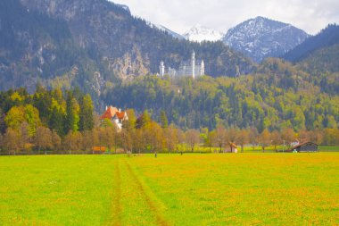 Dünyaca ünlü Neuschwanstein Kalesi 'nin güzel manzarası, 19. yüzyıl Romanesk Diriliş Sarayı Kral II. Ludwig için Almanya' nın güneybatı Bavyera, Fussen yakınlarındaki engebeli bir uçuruma inşa edildi.