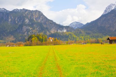 Dünyaca ünlü Neuschwanstein Kalesi 'nin güzel manzarası, 19. yüzyıl Romanesk Diriliş Sarayı Kral II. Ludwig için Almanya' nın güneybatı Bavyera, Fussen yakınlarındaki engebeli bir uçuruma inşa edildi.
