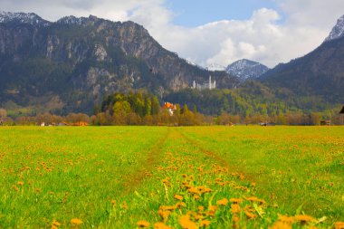 Dünyaca ünlü Neuschwanstein Kalesi 'nin güzel manzarası, 19. yüzyıl Romanesk Diriliş Sarayı Kral II. Ludwig için Almanya' nın güneybatı Bavyera, Fussen yakınlarındaki engebeli bir uçuruma inşa edildi.