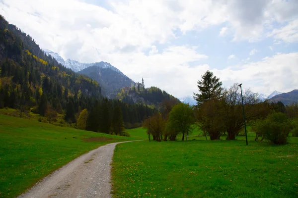 Vacker Utsikt Över Världsberömda Neuschwanstein Slott Det Nittonde Talet Romanska — Stockfoto