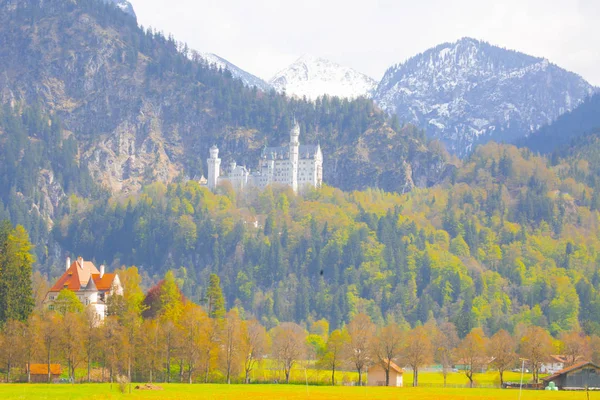 Dünyaca Ünlü Neuschwanstein Kalesi Nin Güzel Manzarası Yüzyıl Romanesk Diriliş — Stok fotoğraf