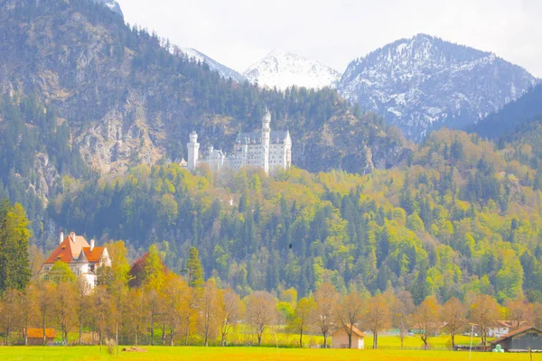 Schöne Aussicht Auf Das Weltberühmte Schloss Neuschwanstein Das Romanische Renaissance — Stockfoto