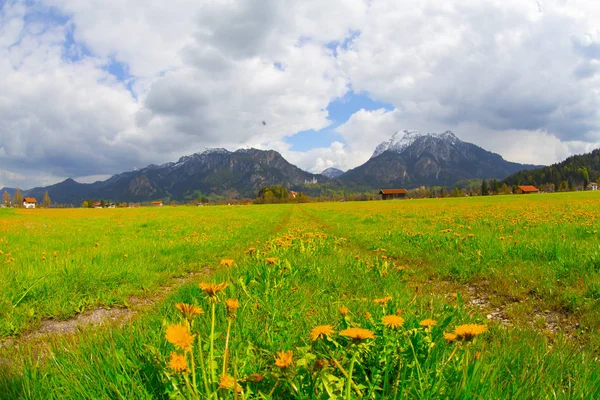 Vacker Utsikt Över Världsberömda Neuschwanstein Slott Det Nittonde Talet Romanska — Stockfoto