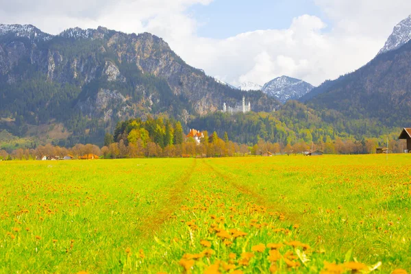 Όμορφη Θέα Του Παγκοσμίου Φήμης Κάστρου Neuschwanstein Παλάτι Romanesque Revival — Φωτογραφία Αρχείου