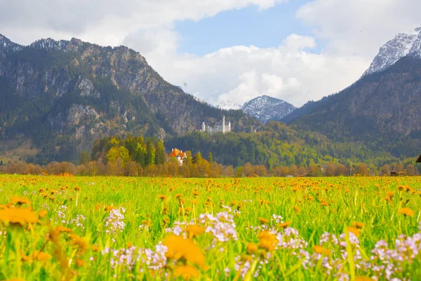 Vacker Utsikt Över Världsberömda Neuschwanstein Slott Det Nittonde Talet Romanska — Stockfoto