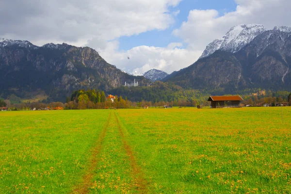 Vacker Utsikt Över Världsberömda Neuschwanstein Slott Det Nittonde Talet Romanska — Stockfoto