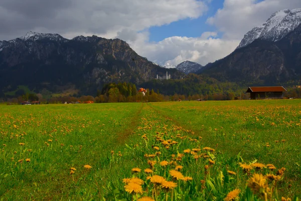 Vacker Utsikt Över Världsberömda Neuschwanstein Slott Det Nittonde Talet Romanska — Stockfoto