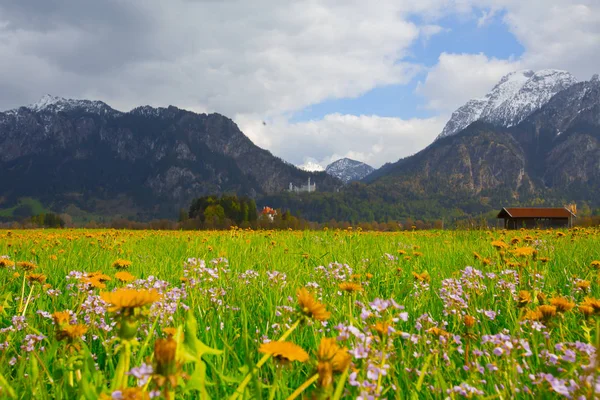 Όμορφη Θέα Του Παγκοσμίου Φήμης Κάστρου Neuschwanstein Παλάτι Romanesque Revival — Φωτογραφία Αρχείου