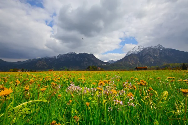 Όμορφη Θέα Του Παγκοσμίου Φήμης Κάστρου Neuschwanstein Παλάτι Romanesque Revival — Φωτογραφία Αρχείου