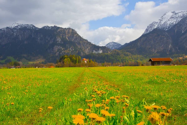 Όμορφη Θέα Του Παγκοσμίου Φήμης Κάστρου Neuschwanstein Παλάτι Romanesque Revival — Φωτογραφία Αρχείου