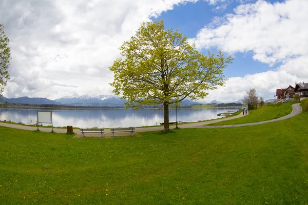 Blick Auf Den Hopfensee Bayern Deutschland — Stockfoto