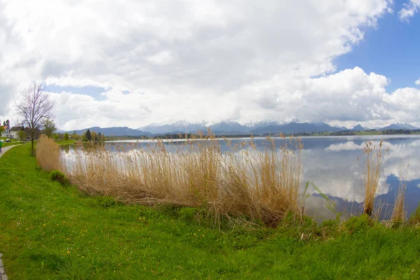 Vista Lago Hopfensee Baviera Alemanha — Fotografia de Stock