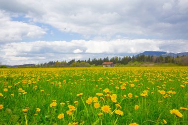 Hegratsrieder Gör ve Manzara / Almanya