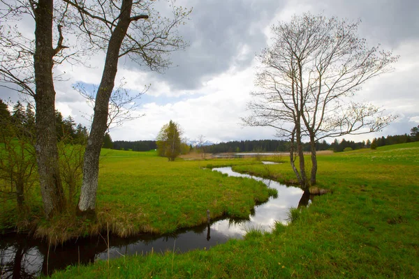 Hegratsrieder See Und Landschaft Deutschland — Stockfoto