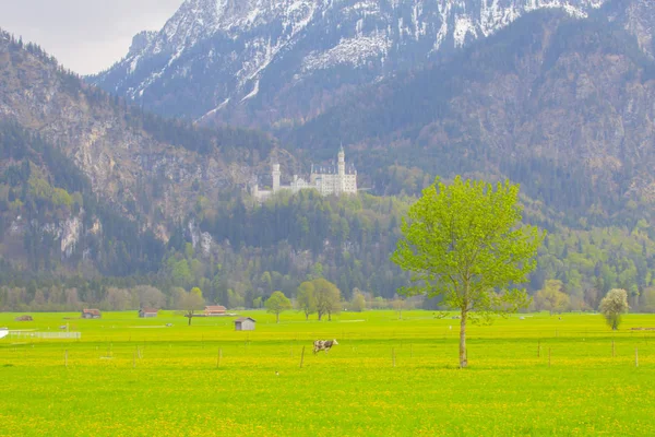 Живописный Пейзаж Замком Нойшванштайн Германия — стоковое фото
