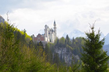 Neuschwanstein Kalesi 'nin manzarası. Almanya