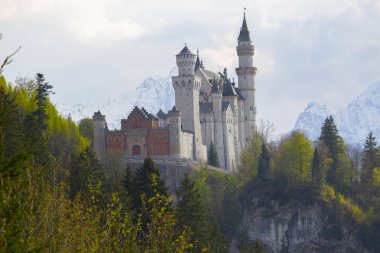 Neuschwanstein Kalesi 'nin manzarası. Almanya