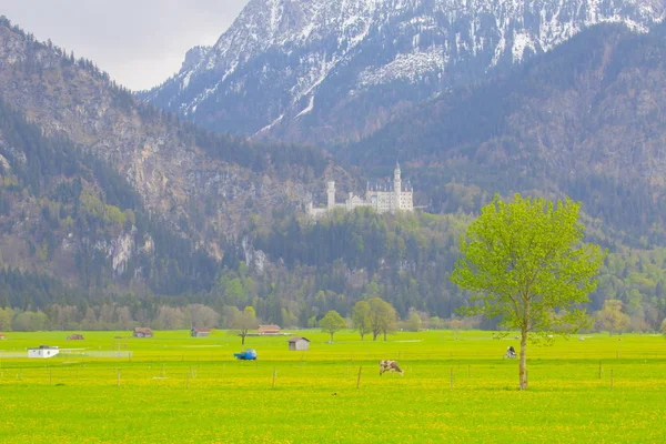 Γραφικό Τοπίο Κάστρο Neuschwanstein Γερμανία — Φωτογραφία Αρχείου