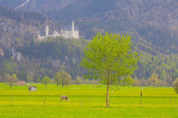 Malebná Krajina Neuschwansteinským Hradem Německo — Stock fotografie