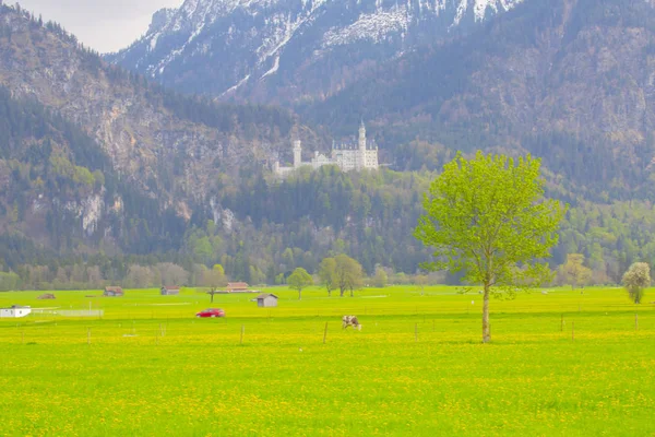 Paesaggio Pittoresco Con Castello Neuschwanstein Paesi Bassi — Foto Stock