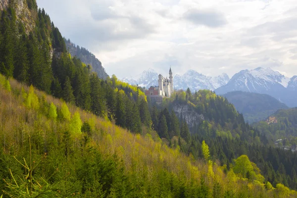 Pittoreska Landskap Med Neuschwanstein Slottet Tyskland — Stockfoto