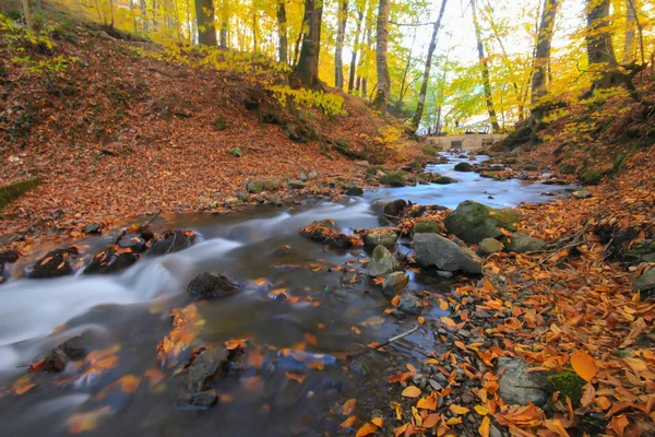 Podzimní Krajina Sedmi Jezerech Yedigoller Park Bolu Turecko Krása Mrak — Stock fotografie