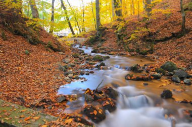 Yedi göldeki sonbahar manzarası Yedigoller Park Bolu, Türkiye. Güzellik, bulut.