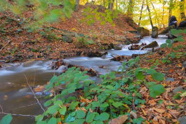Yedi göldeki sonbahar manzarası Yedigoller Park Bolu, Türkiye. Güzellik, bulut.