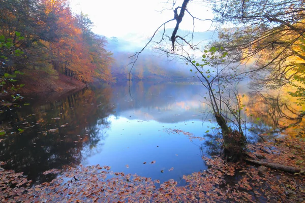 Осенний Пейзаж Семи Озерах Едигольского Парка Болу Турция Красота Облако — стоковое фото