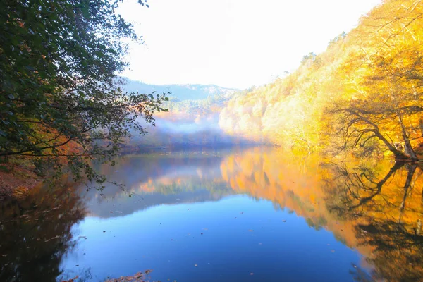 Őszi Táj Hét Tavon Yedigoller Park Bolu Törökország Szépség Felhő — Stock Fotó