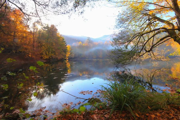 Herbstlandschaft Sieben Seen Yedigoller Park Bolu Türkei Schönheit Wolke — Stockfoto