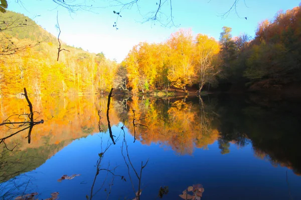 Őszi Táj Hét Tavon Yedigoller Park Bolu Törökország Szépség Felhő — Stock Fotó