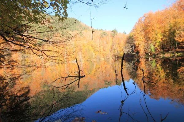 Őszi Táj Hét Tavon Yedigoller Park Bolu Törökország Szépség Felhő — Stock Fotó