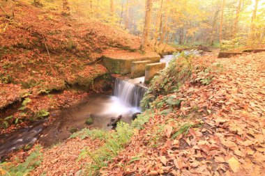 Yedi göldeki sonbahar manzarası Yedigoller Park Bolu, Türkiye. Güzellik, bulut.