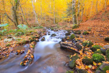 Yedi göldeki sonbahar manzarası Yedigoller Park Bolu, Türkiye. Güzellik, bulut.