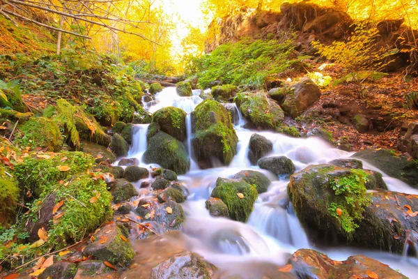 Yedi göldeki sonbahar manzarası Yedigoller Park Bolu, Türkiye. Güzellik, bulut.
