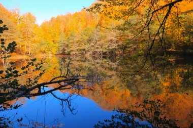 Yedi göldeki sonbahar manzarası Yedigoller Park Bolu, Türkiye. Güzellik, bulut.