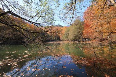 Yedi göldeki sonbahar manzarası Yedigoller Park Bolu, Türkiye. Güzellik, bulut.