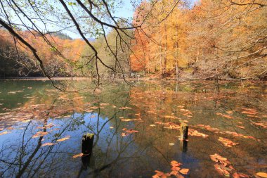 Yedi göldeki sonbahar manzarası Yedigoller Park Bolu, Türkiye. Güzellik, bulut.