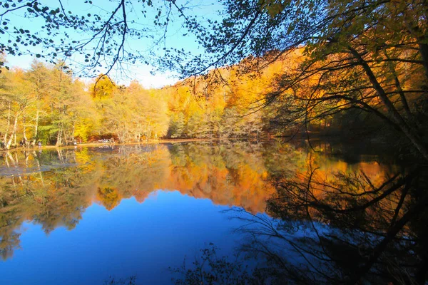 Őszi Táj Hét Tavon Yedigoller Park Bolu Törökország Szépség Felhő — Stock Fotó