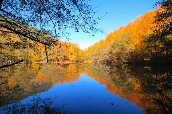 Осенний Пейзаж Семи Озерах Едигольского Парка Болу Турция Красота Облако — стоковое фото