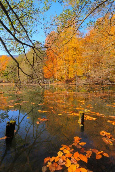 Höstlandskap Sju Sjöar Yedigoller Park Bolu Turkiet Skönhet Moln — Stockfoto