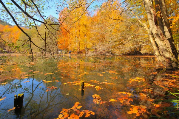 Yedi Göldeki Sonbahar Manzarası Yedigoller Park Bolu Türkiye Güzellik Bulut — Stok fotoğraf